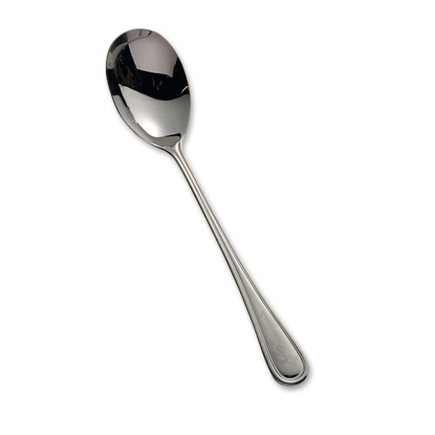 Long Serving Spoon Stainless 12