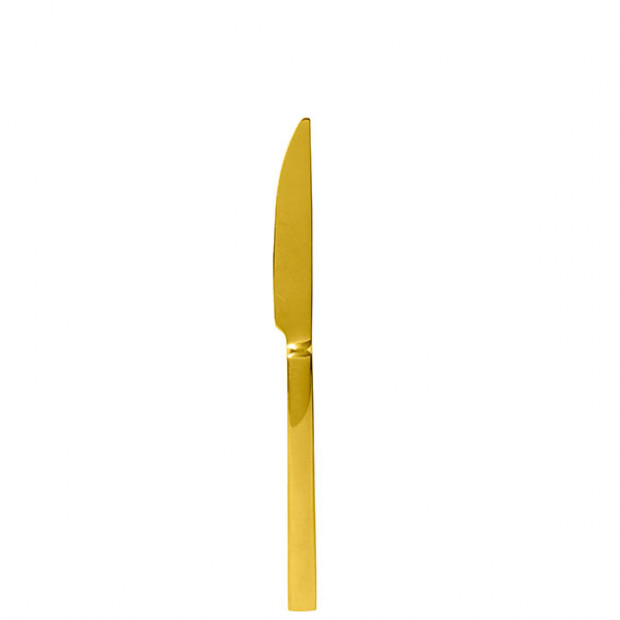 Gold Square Salad Knife