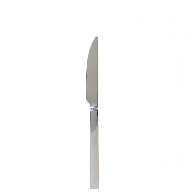 Square Salad Knife  Broadway Party Rentals